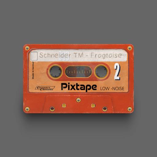 04041 - Schneider TM - Frogtoise